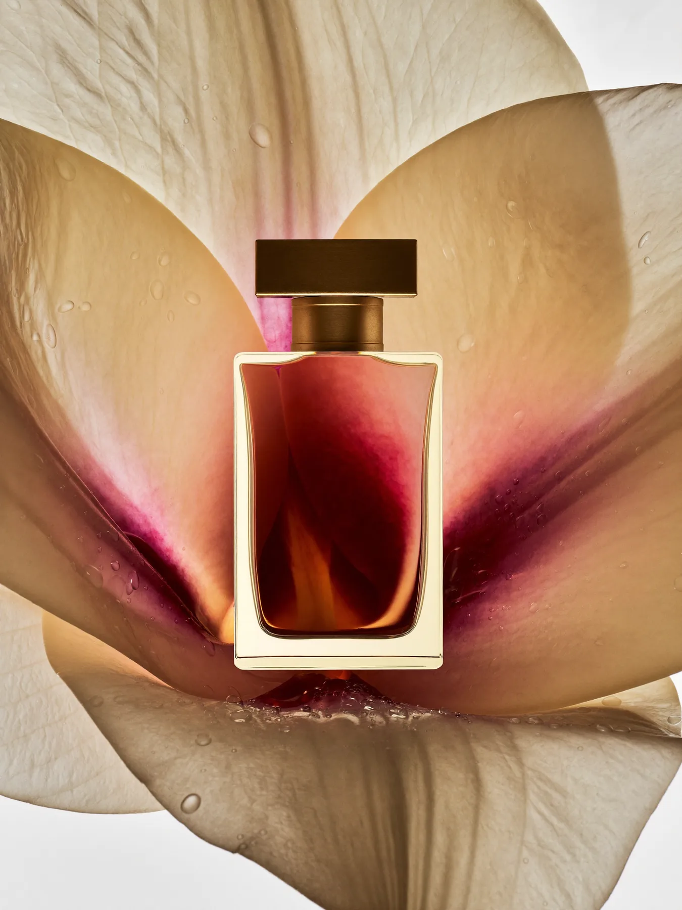Fragrance — The Bottle in the Orchid