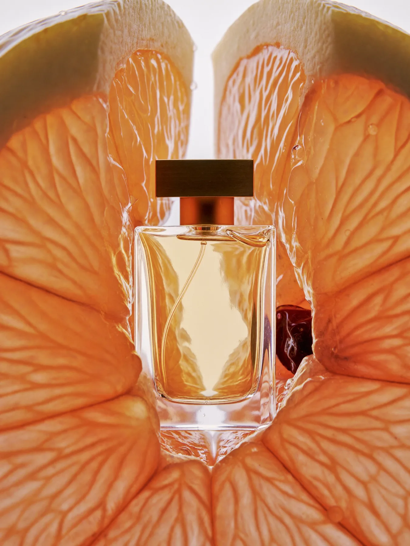Fragrance — Cut Citrus, Cut Glass